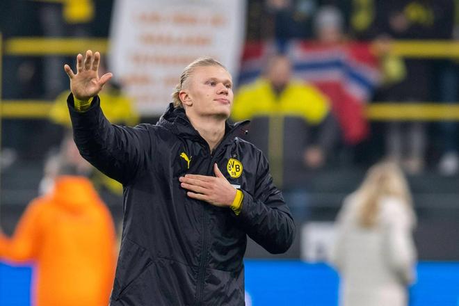 造成規則疲 造成規則疲